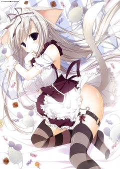 Catgirls! - N