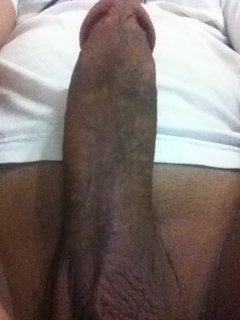 my cock - N