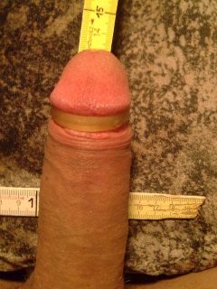 size of my cock - N