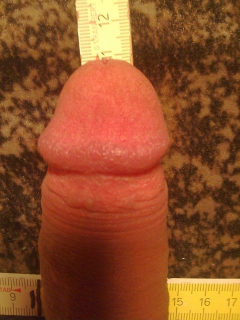 size of my cock - N
