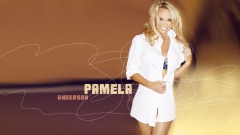 Blonde Big-tits Playboy Celebrity Model Pamela Anderson - N