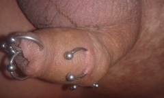 Cock, penis piercings and play - N