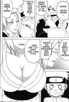 Chichikage Big Breast Ninja - N