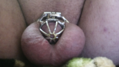 My tiny spun penis locked in chastity cage - N