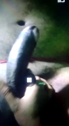 My desi indian wife sex messege big cock 4 - N