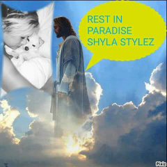 Rest In Paradise Shyla Stylez - N
