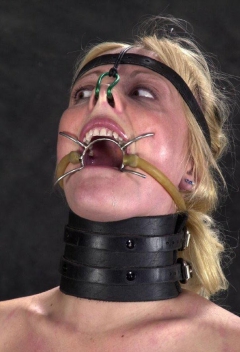 Mouth Lord - N
