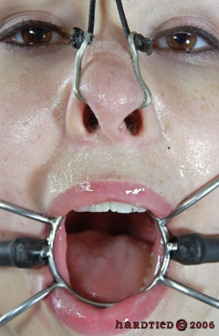 Mouth Lord - N