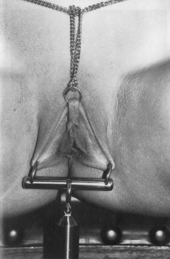 Pussy Decoration - N