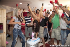 Party Zone IV - N