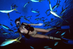 Underwater Nimph III - N