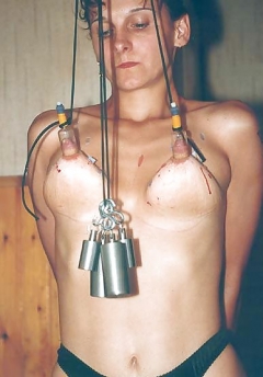 Rud's Titties Alert - N