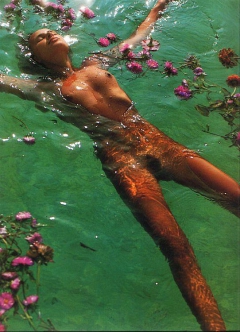 Sea Babe 5 - N