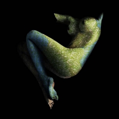 Body To Paint 5 - N