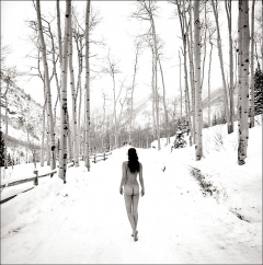 Snowy Women 4 - N