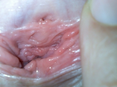 My pussy - N