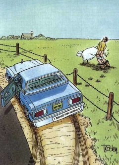 Funny And Hot Drawings 2 - N