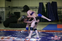 It is wrestling time! - N