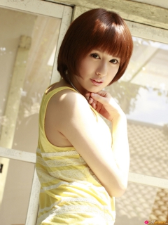 Spring Dream 2 - N
