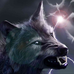 Mirkomirko`s avatar