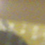 gay88500`s avatar