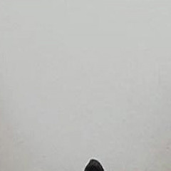 lovlyluna22`s avatar