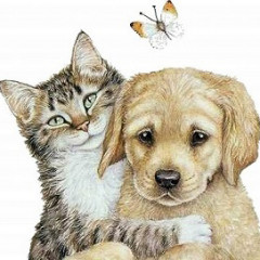 BIBI_57`s avatar