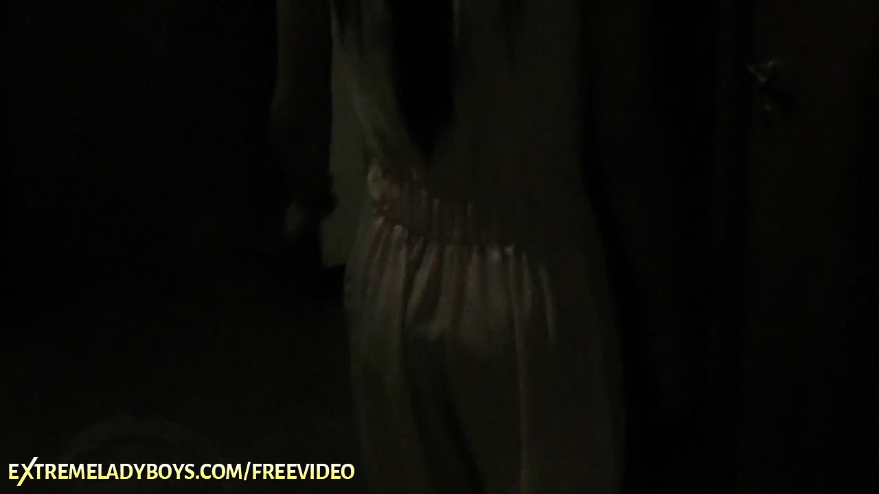 Slim ladyboy strips her leather dress and gets drilled on