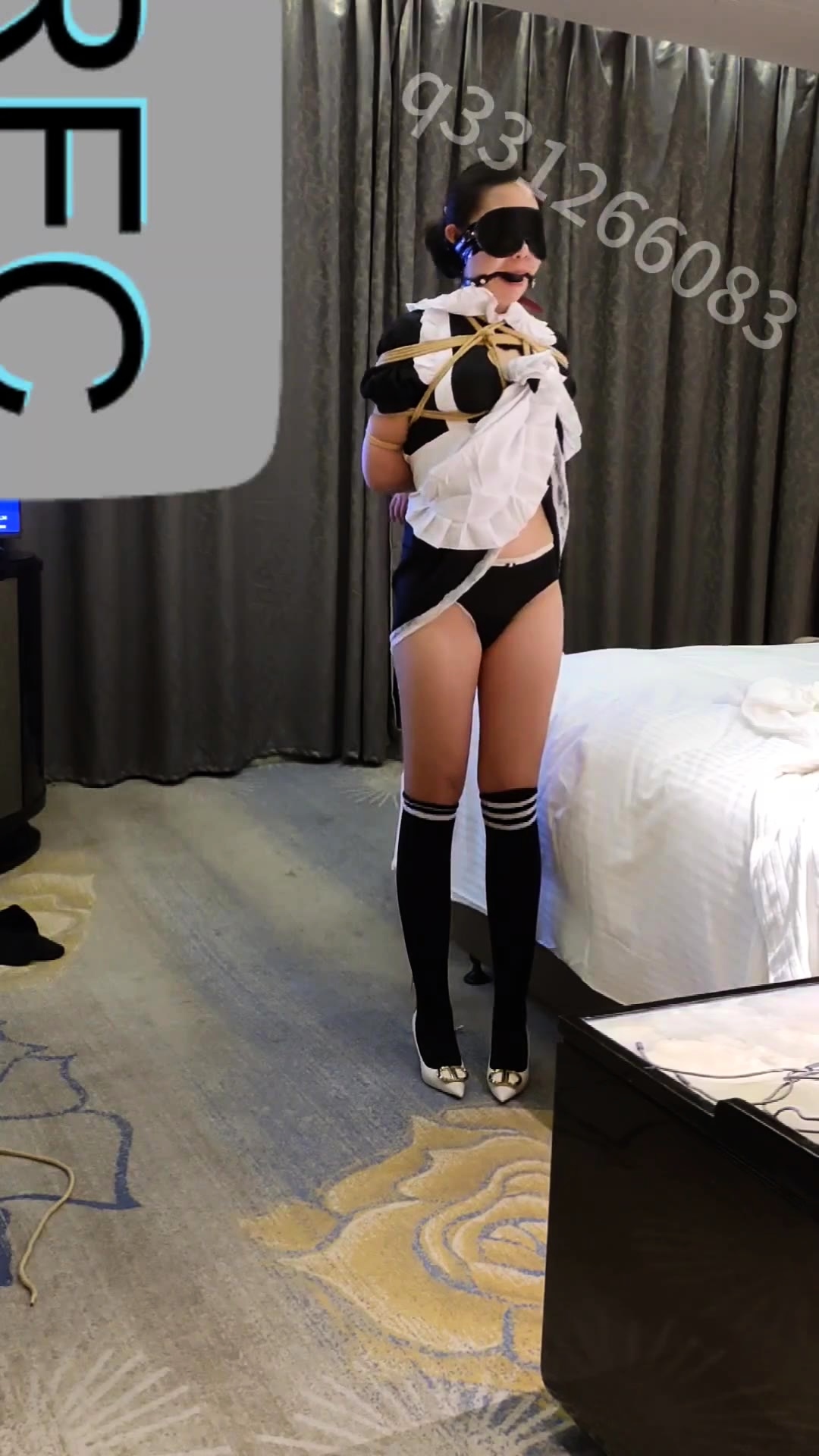 Maid Punishmend