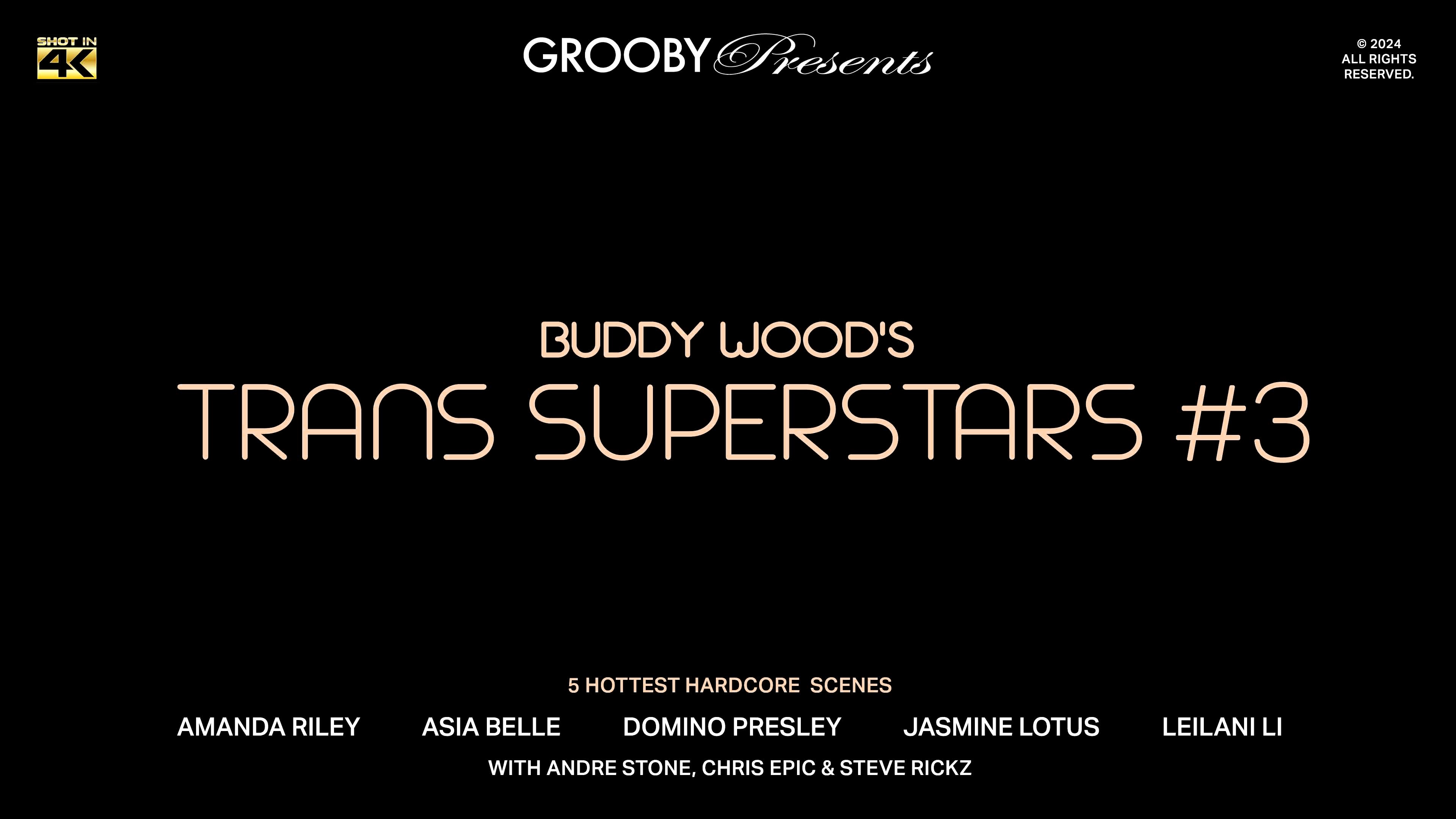 GROOBYGIRLS Buddy Wood s Trans Superstars 3