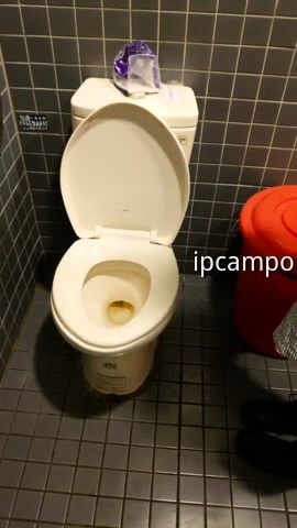 Amateur Asian Solo Fucking On Cam