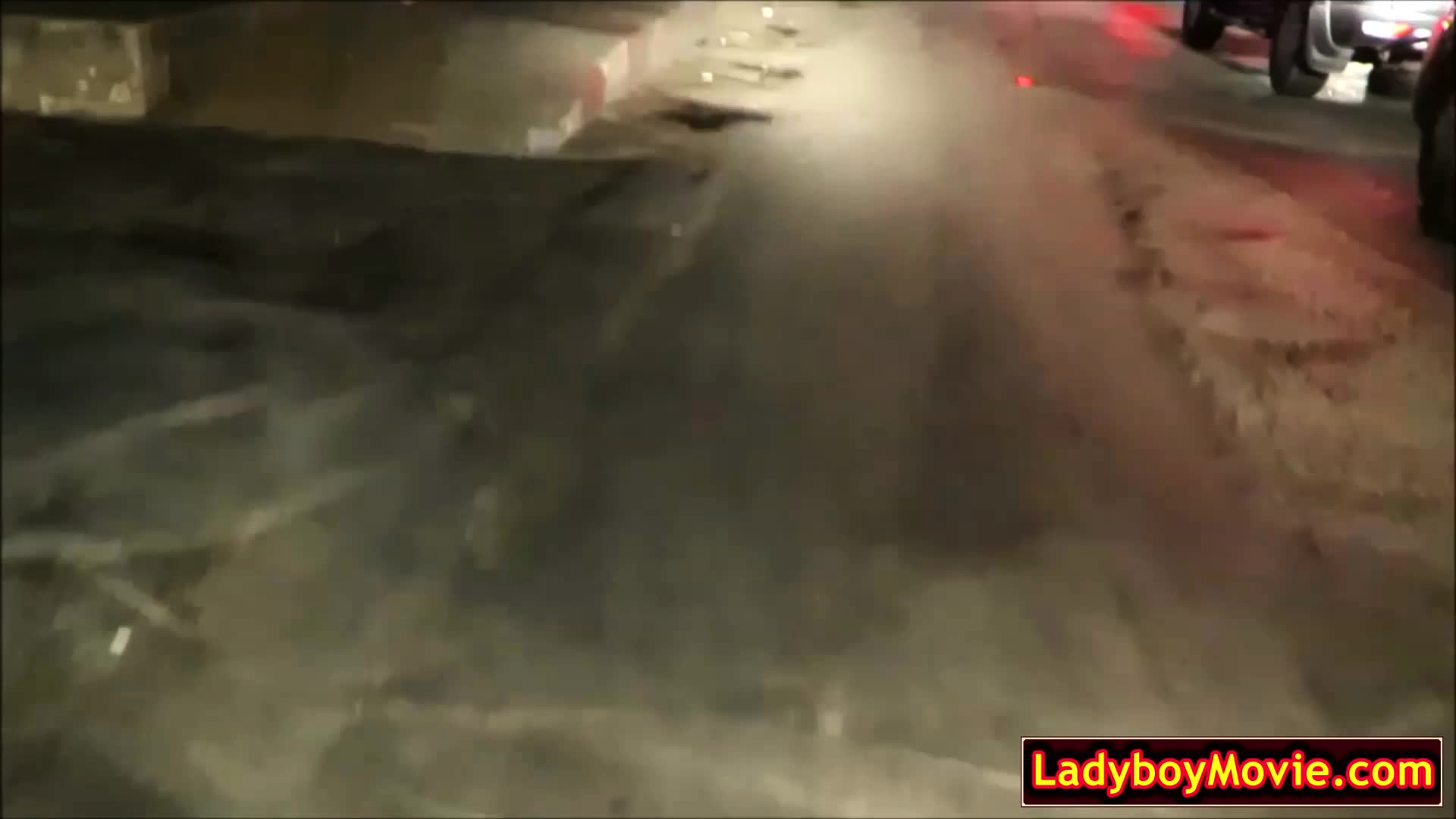 Street ladyboy gets fisted and fucked bareback