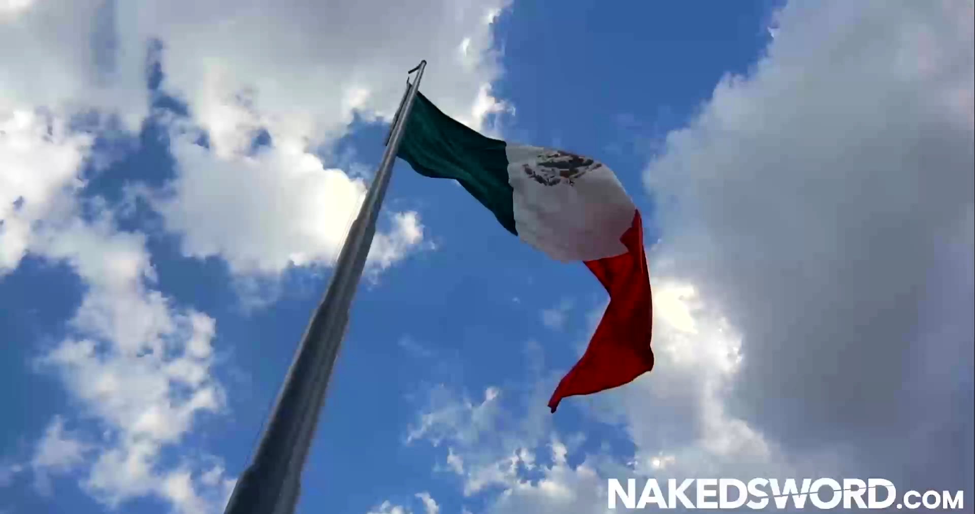 Bottom Stud Rimmed And Raw Bred Hard