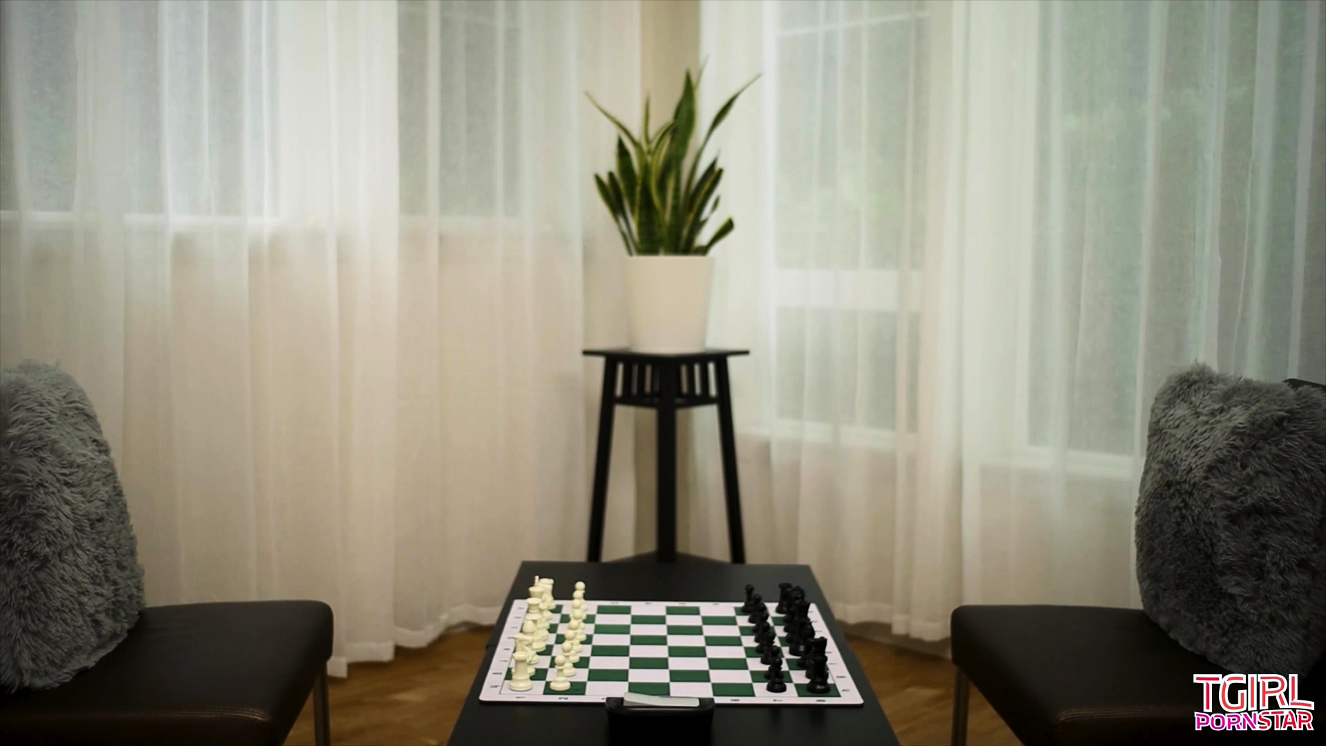 TGIRLPORNSTAR A Sexy Nerdy Rivalry