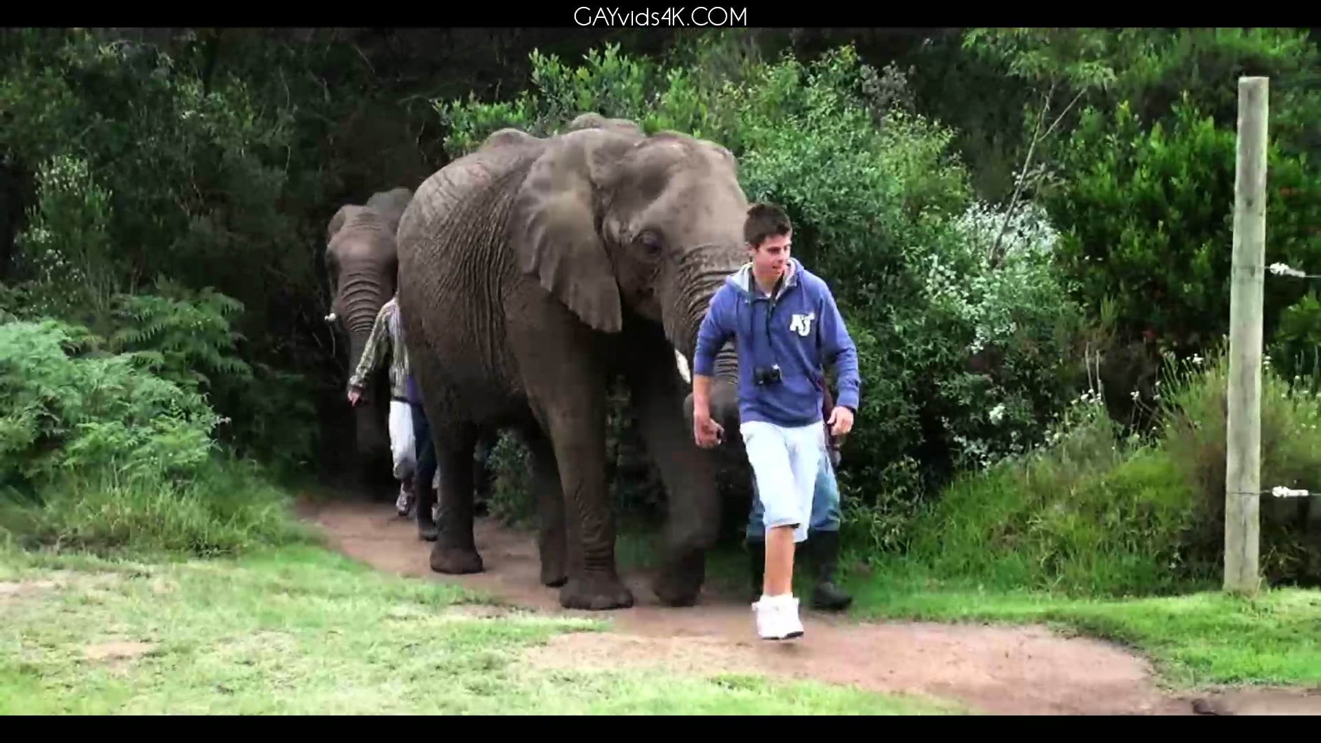 Ariel Vanean, Kevin Warhol And Jean Daniel Chagall Back In A