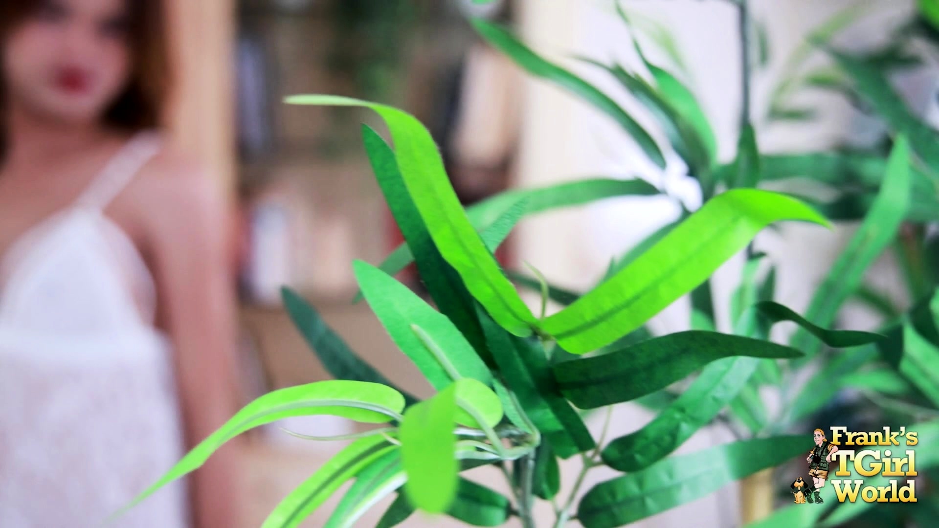 FRANKS TGIRLWORLD Ibiza Dress For Mirin