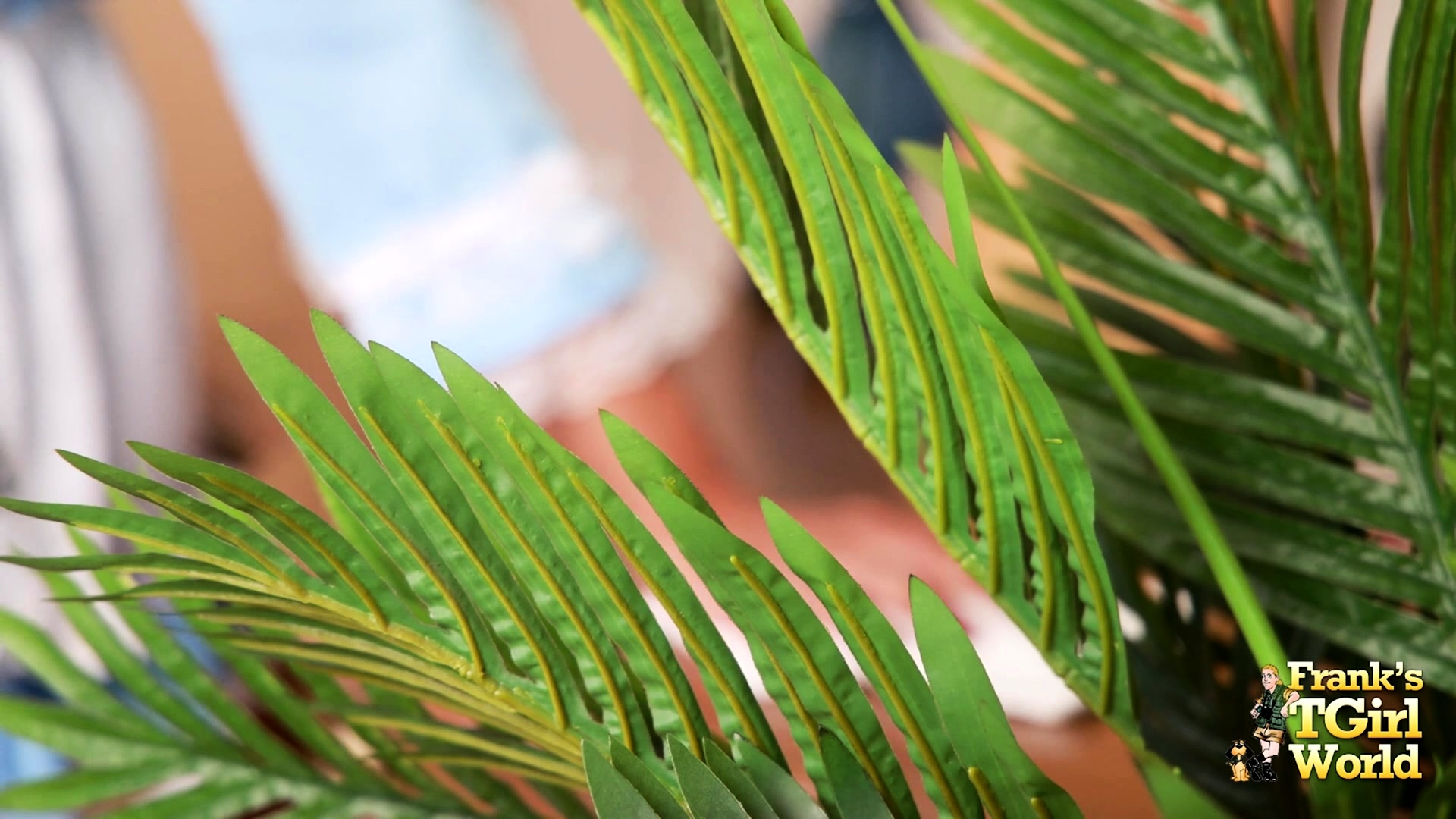 FRANKS TGIRLWORLD Maid Somuch