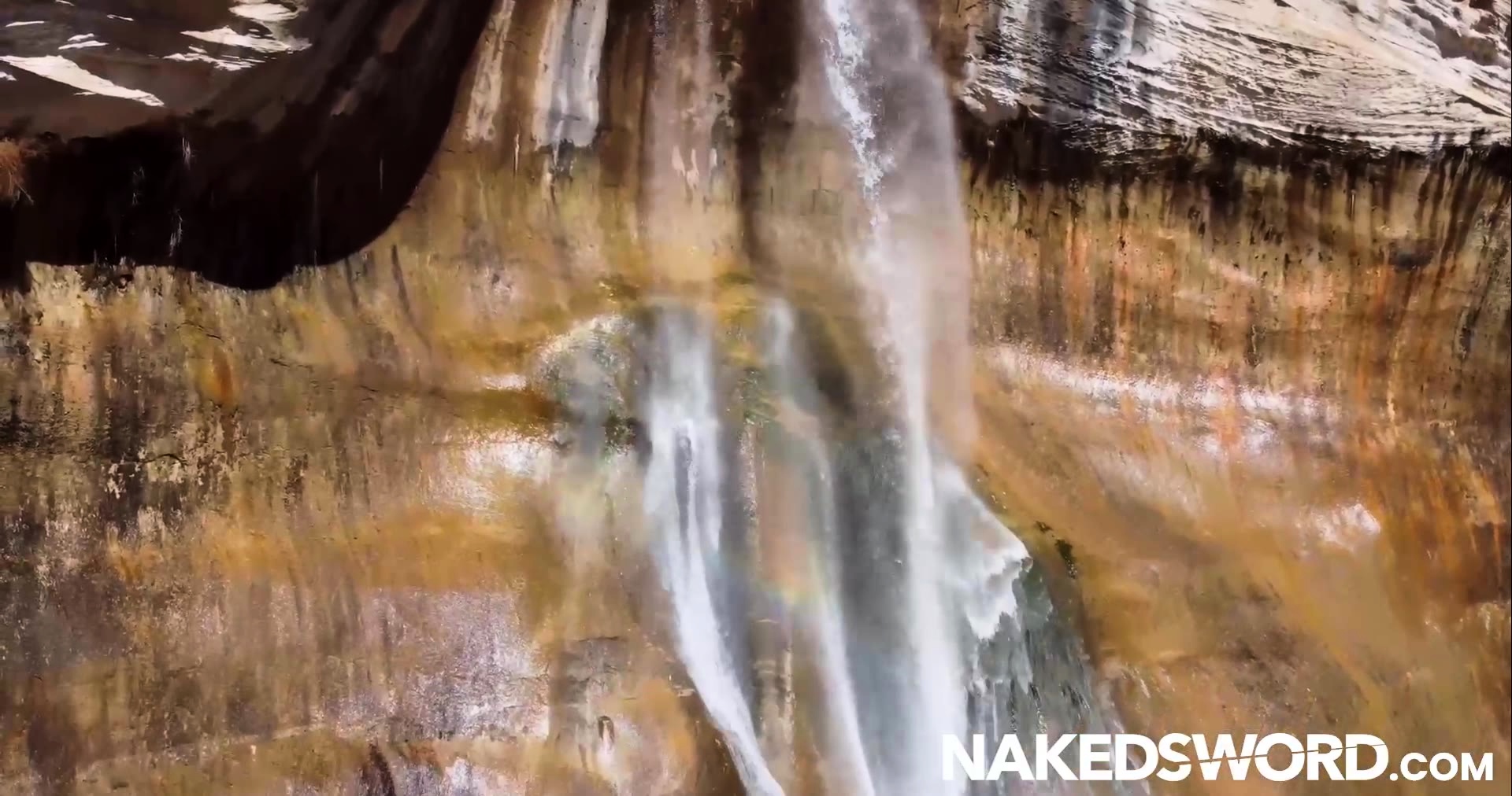 Inked Gay Drilled Hard After Blowjob