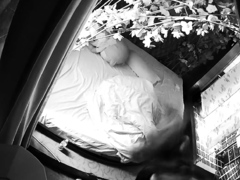 Amateur Hidden Cam with Dildo Wives