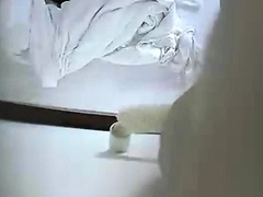 Amateur Hidden Cams Reveal Cock Riding Hoes